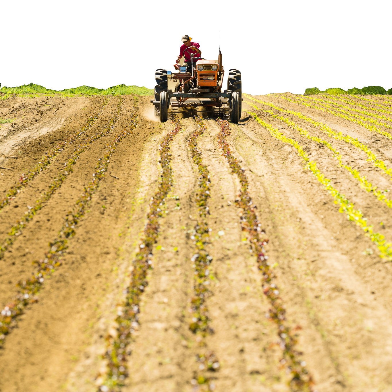 A farmer runs a tractor across a field.