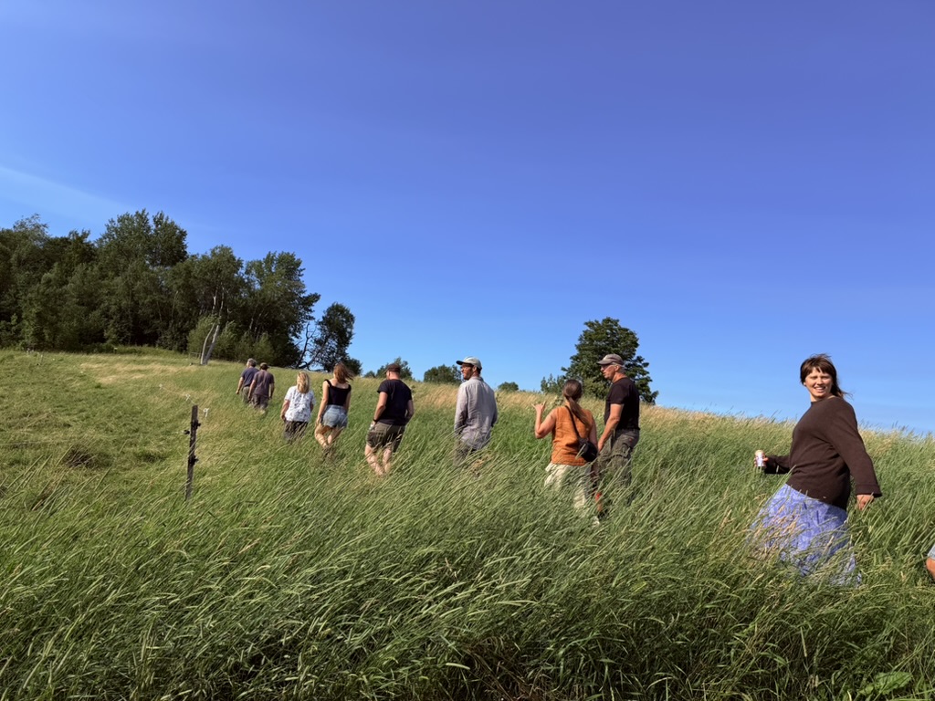 The Land Together Learning Network traverses land collectively farmed by Eastman Farm, Fable Farm, and Kiss the Cow Farm, moving through lush meadow grasses in a long, meandering line