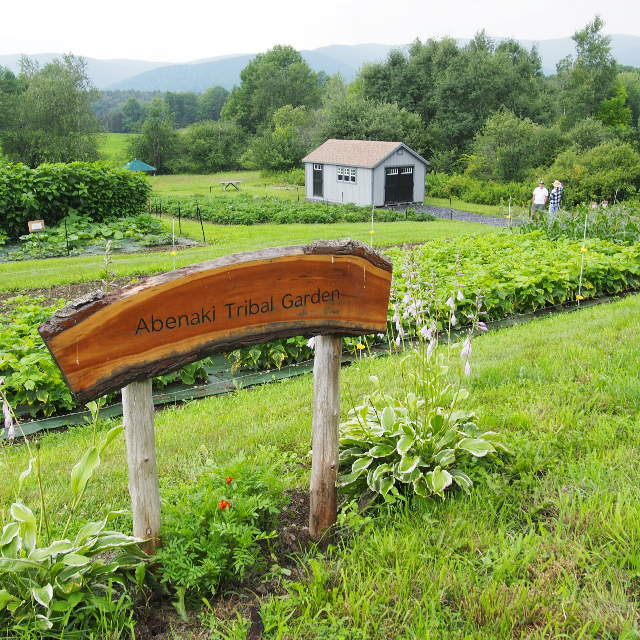 Sign in front of the Abenaki Tribal Garden