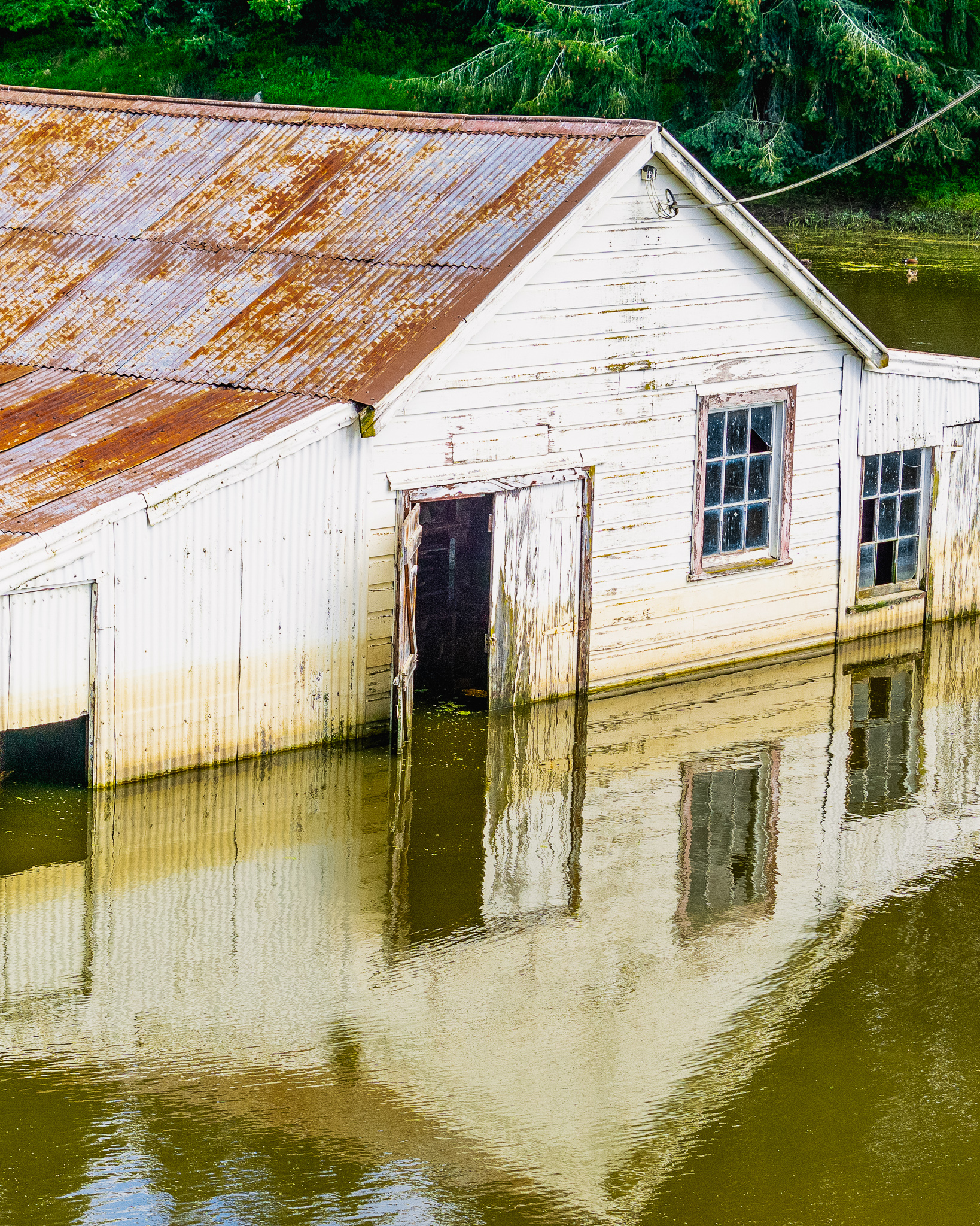 Flooded barn.