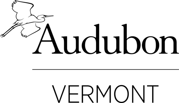 Audubon Vermont logo