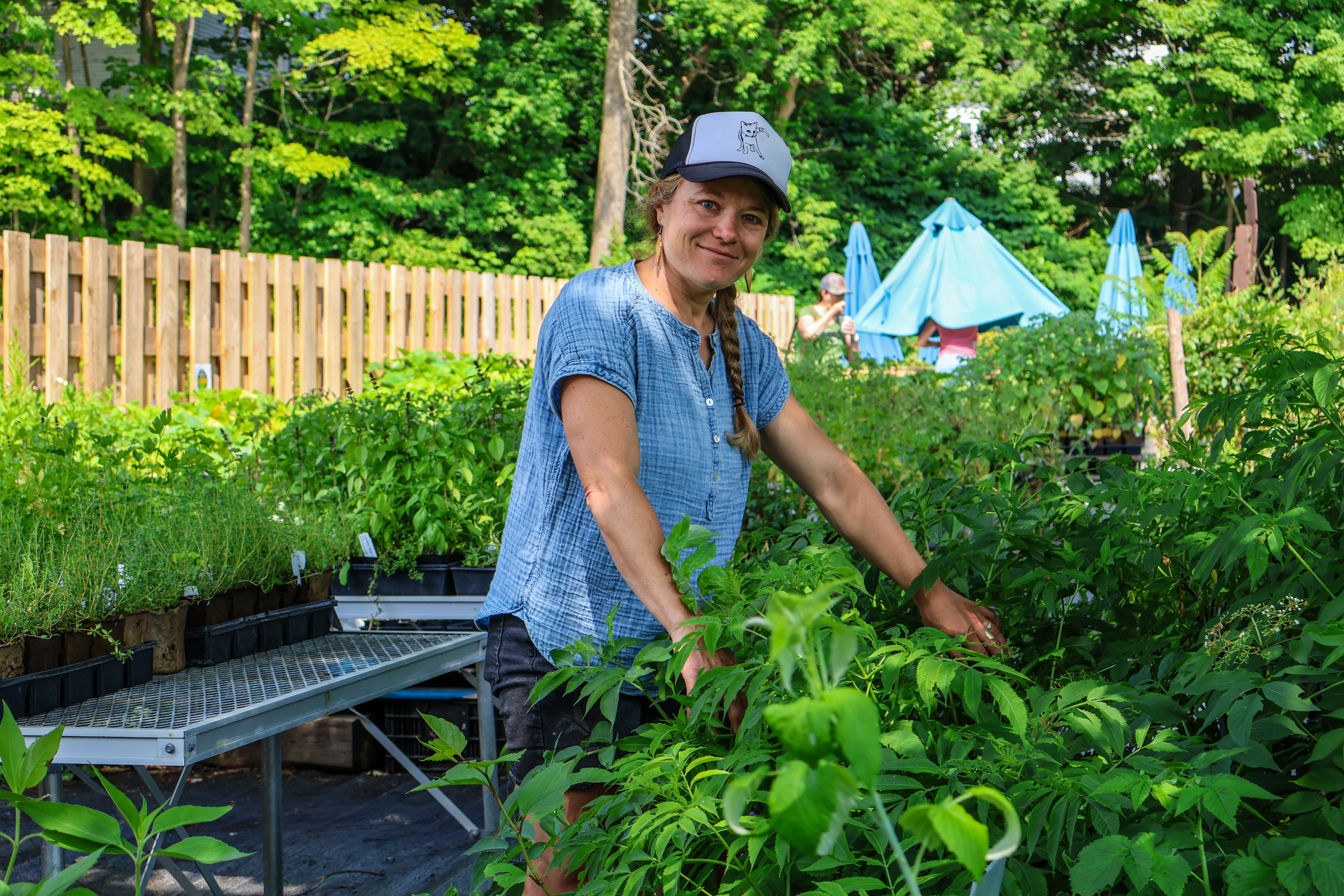 Karin of Bear Roots Farm is shown tending the perennial seedlings at her farmstand at Bear Roots Market, a project made possible through a NOFA-VT Resilience Grant