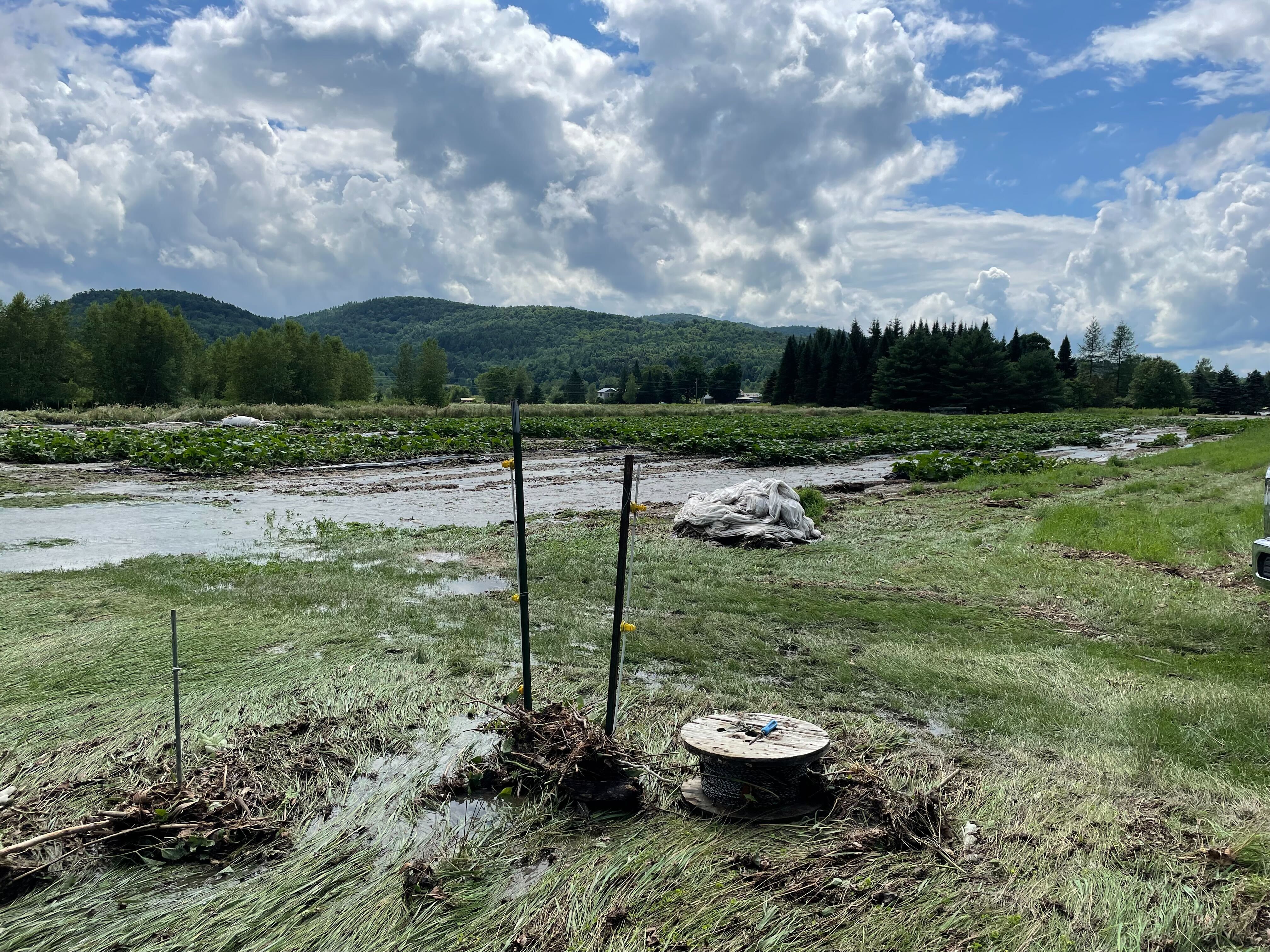 Flooding in the farm fields at Bone Mountain Farm in 2024