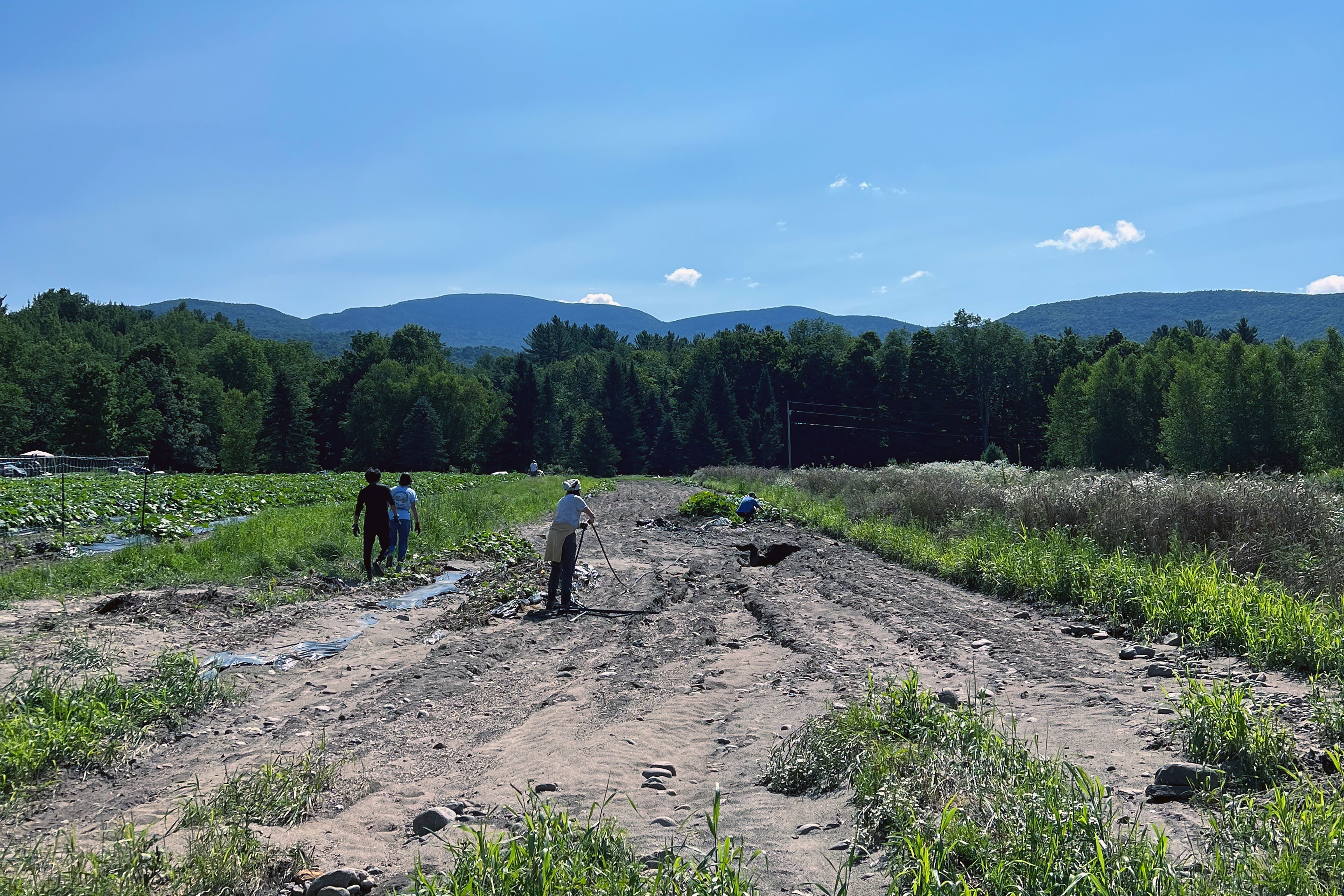 Flooding in the farm fields at Bone Mountain Farm in 2024