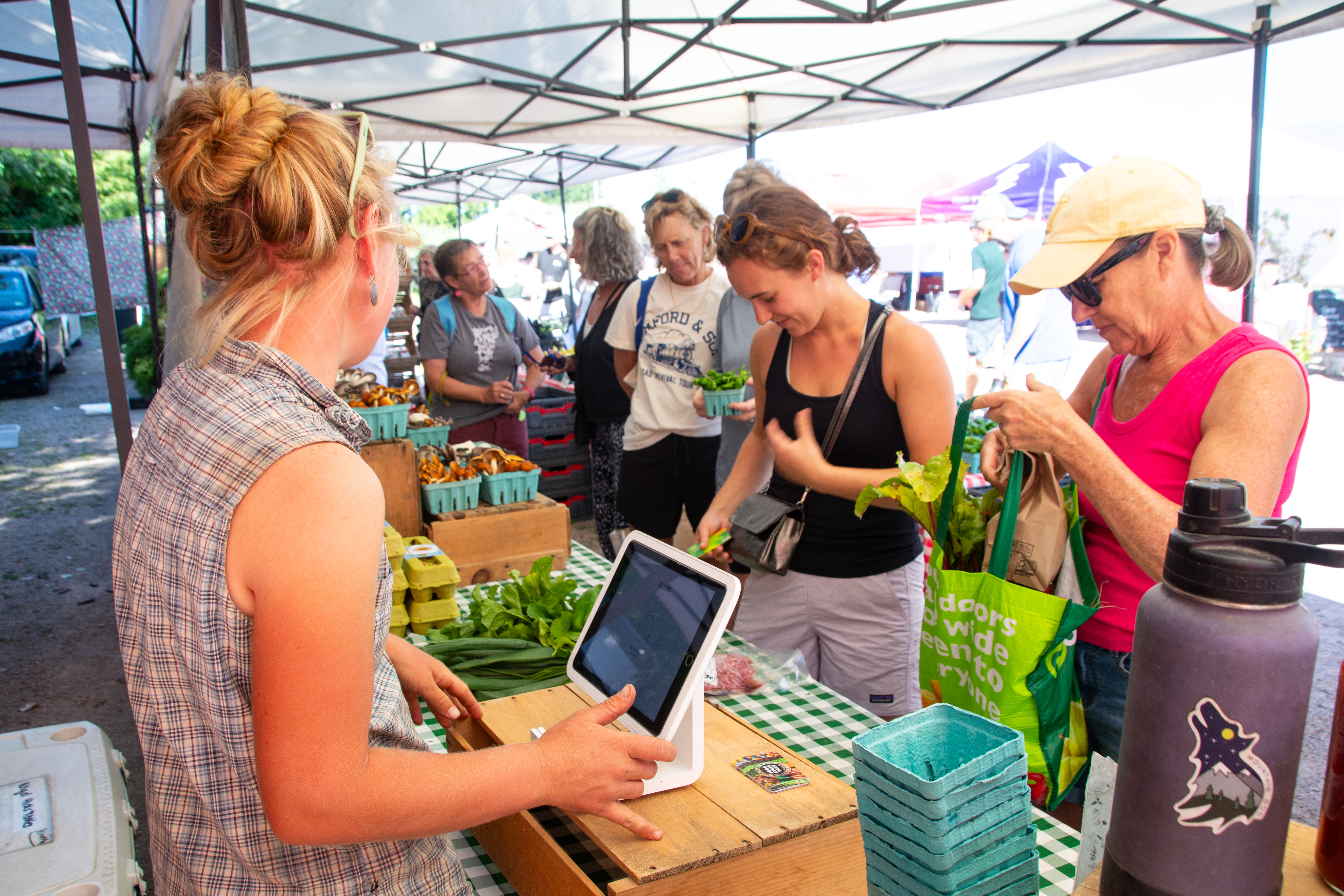 A line of customers wait to pay for their items at a Vermont farmers market, as a staffer at a table full of produce rings customers up using a small digital device.