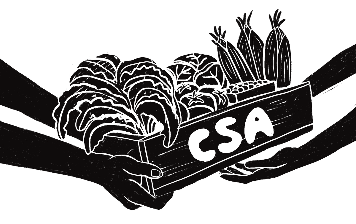 Drawing of hands handing off a box of veggies labelled "CSA"