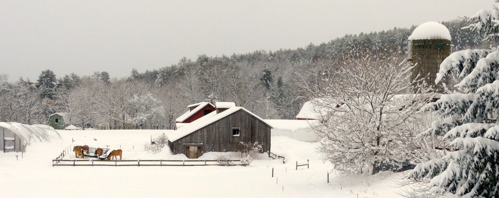 winter
