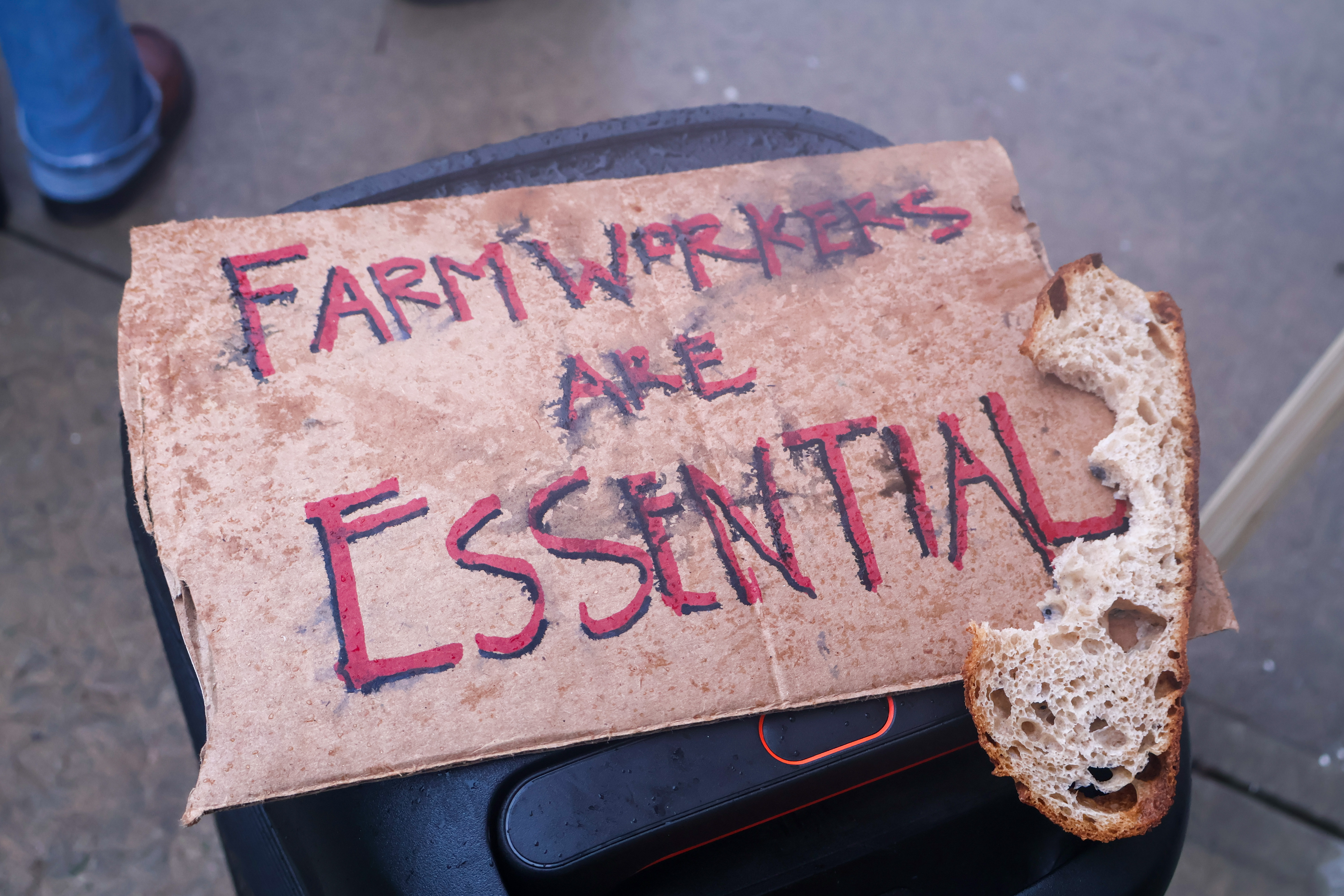 A rain-spattered sign laying on a table at the end of a rally, reading "Farmworkers are Essential"