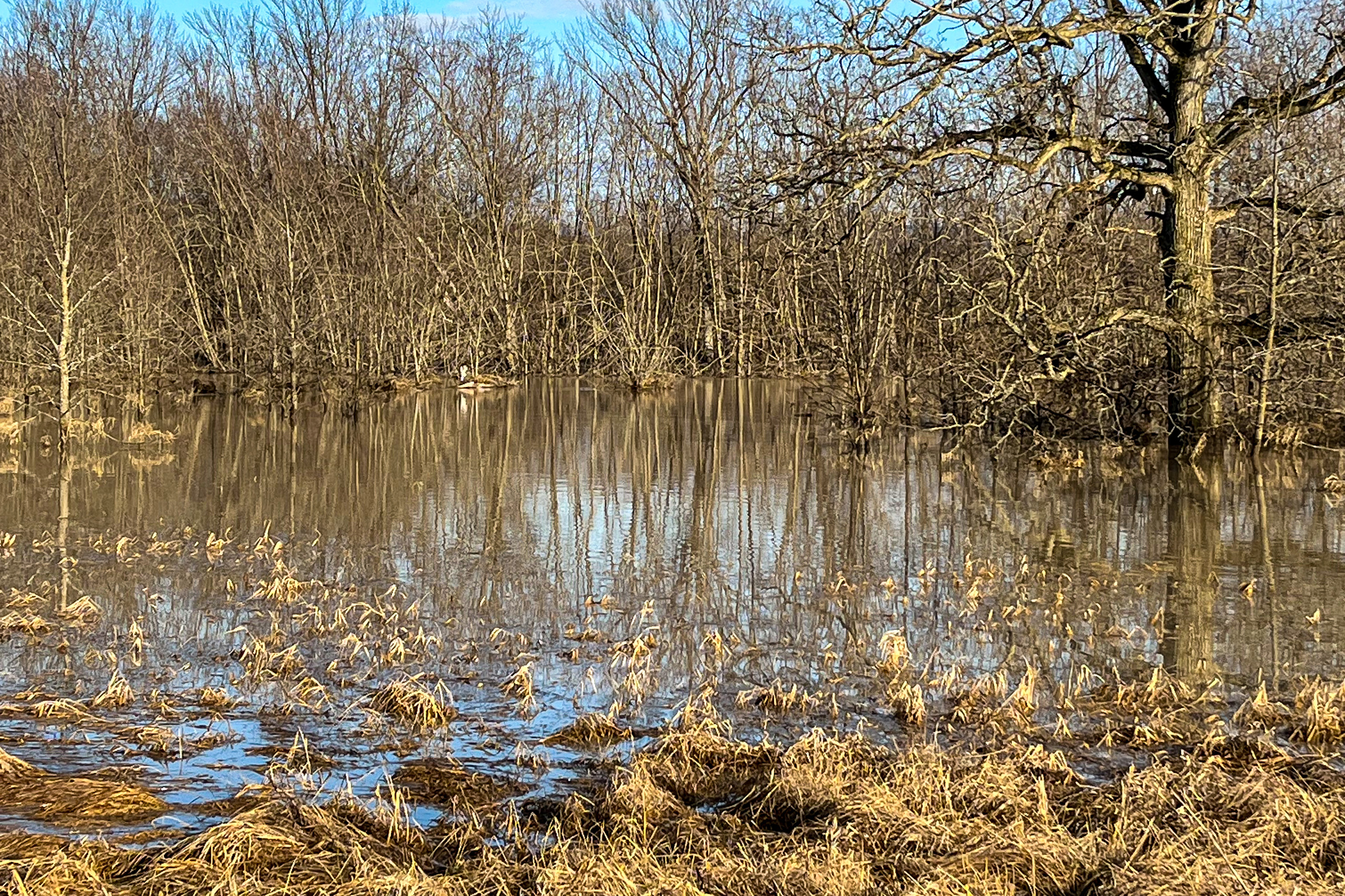 The Lemon Fair River in Weybridge, VT, overflows its banks flooding the adjacent farm fields
