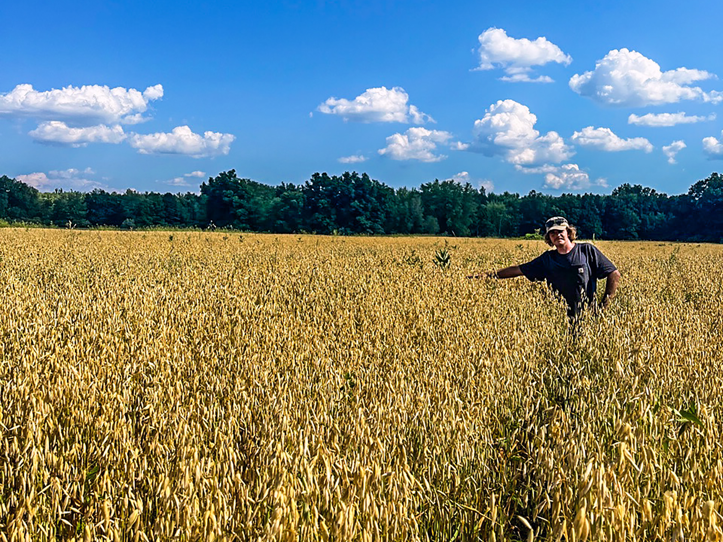 Tyler of Granite Grains stands smiling in a field full of organic grain