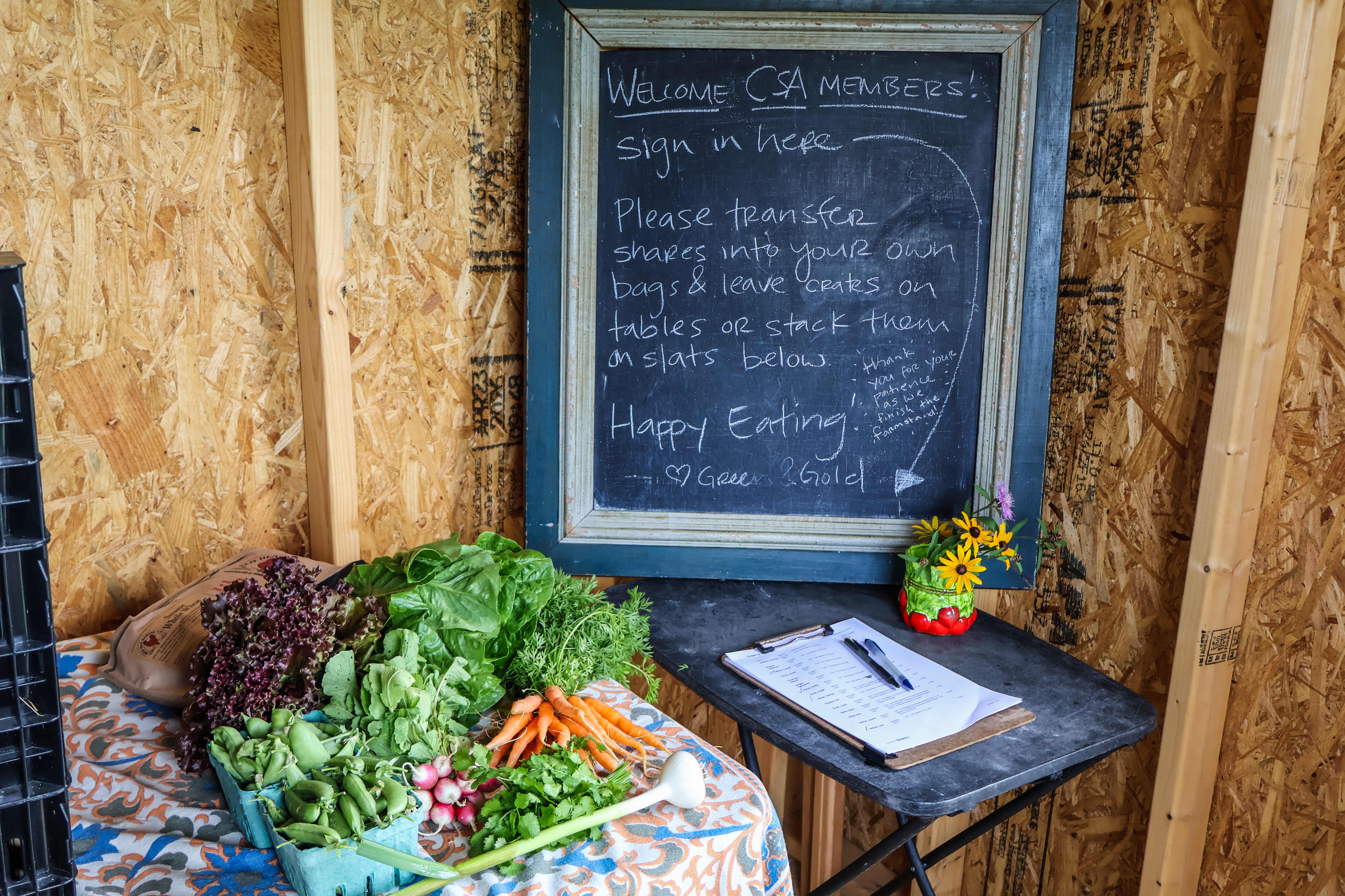 A colorful array of veggies as part of a CSA share at Green & Gold CSA in Sudbury, VT, is laid out on a table next to a chalk board welcoming CSA members and providing some pick-up instructions.