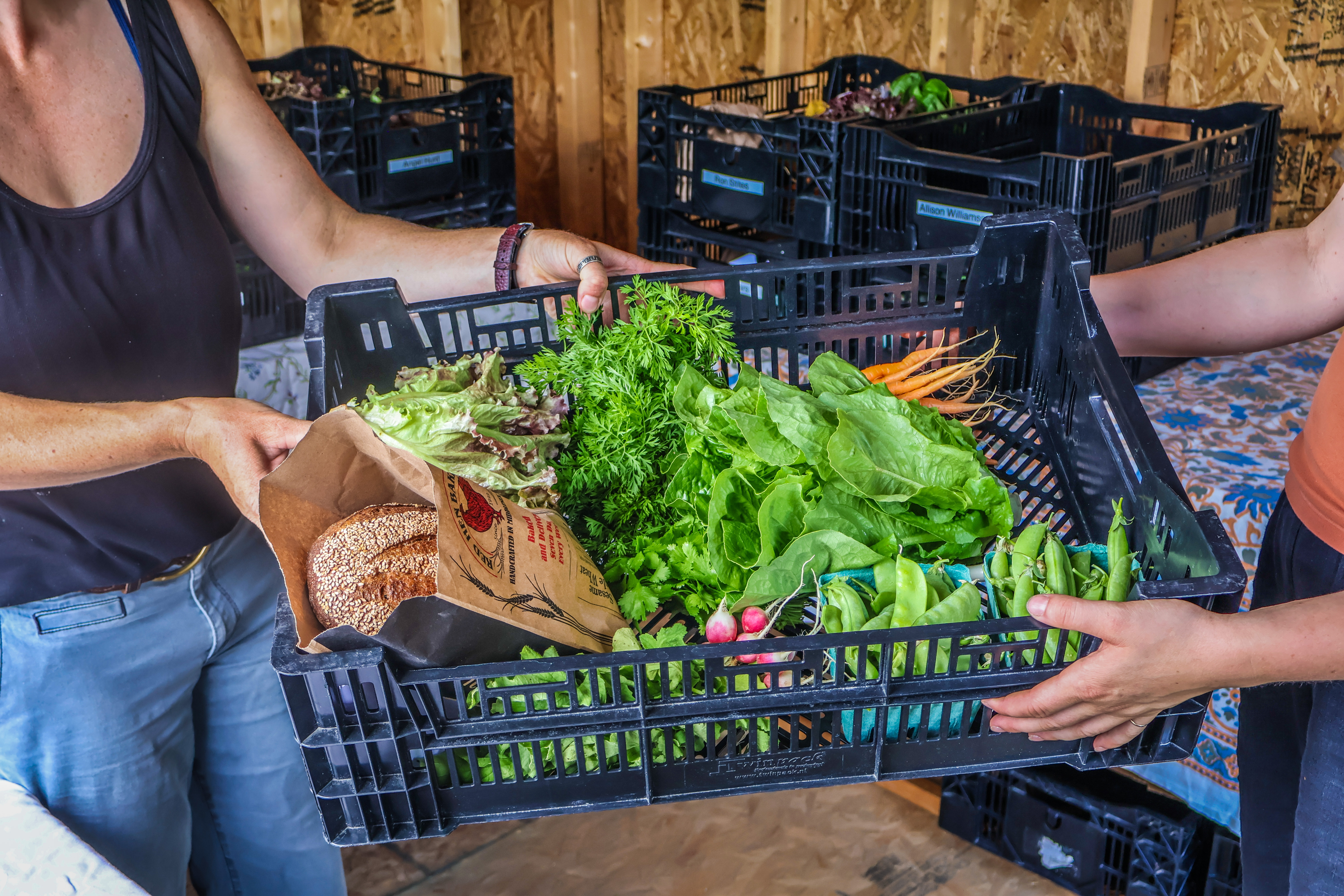 a farmer passes a black bin filled with colorful produce from a weekly CSA share to the recipient. Only their hands are visible.