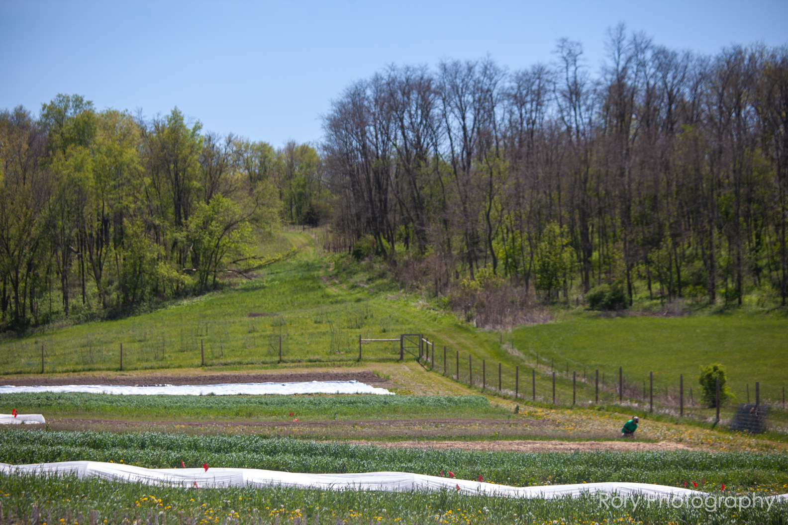 collectively-managed farm fields with rows of diverse veggie and flower plantings at Humble Hands Farm in Iowa