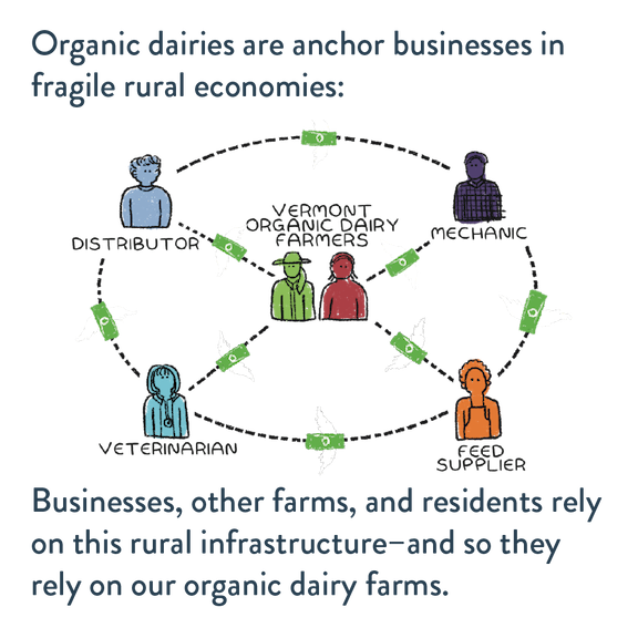 Vermont Organic Dairy Farms are important for our rural economies graphic