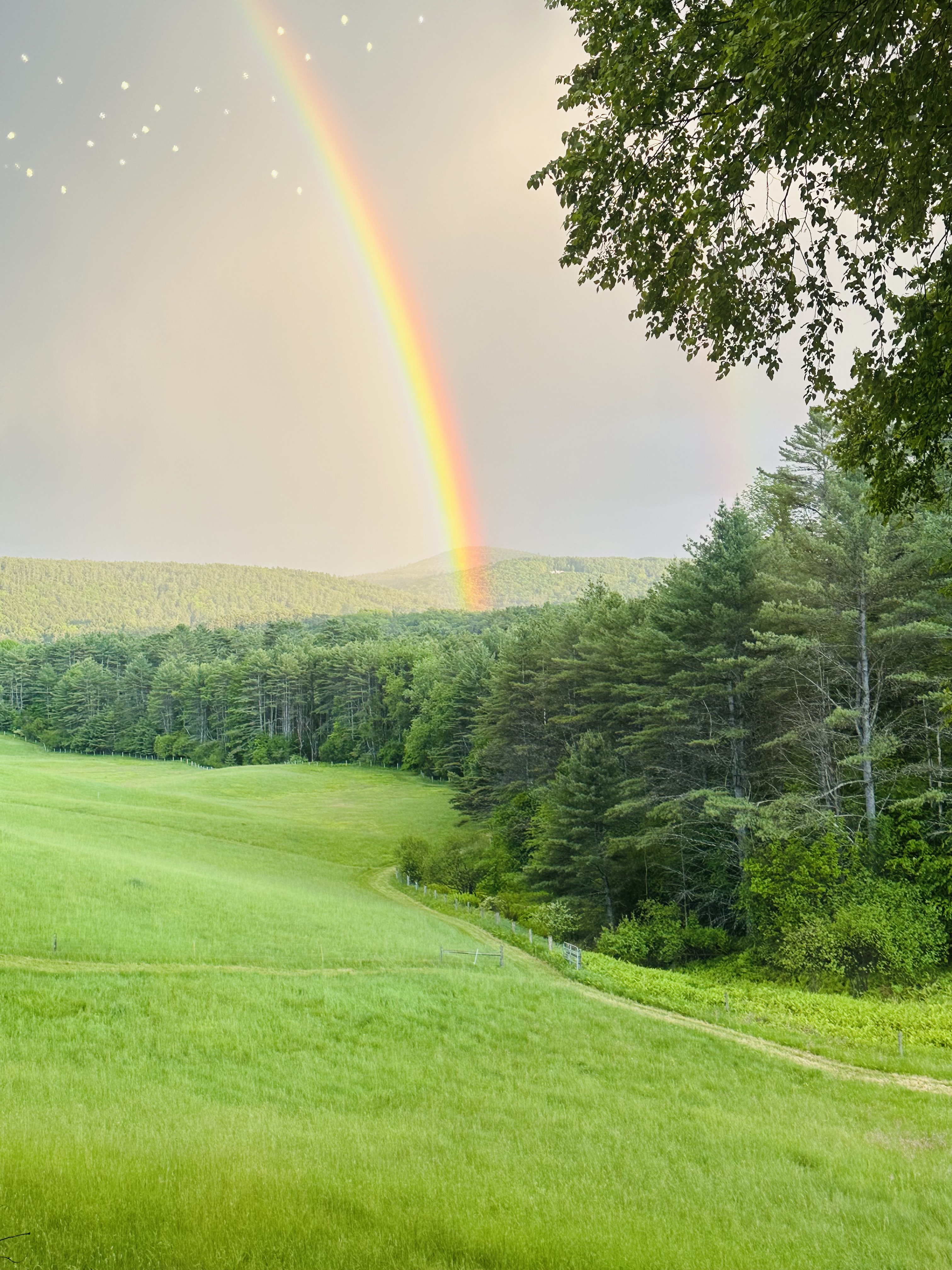pot of gold for farmers