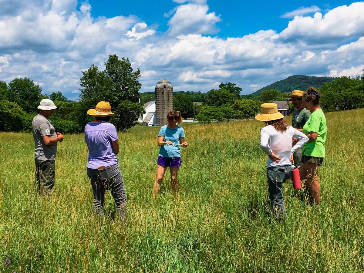 A small group stands in a circle in a pasture