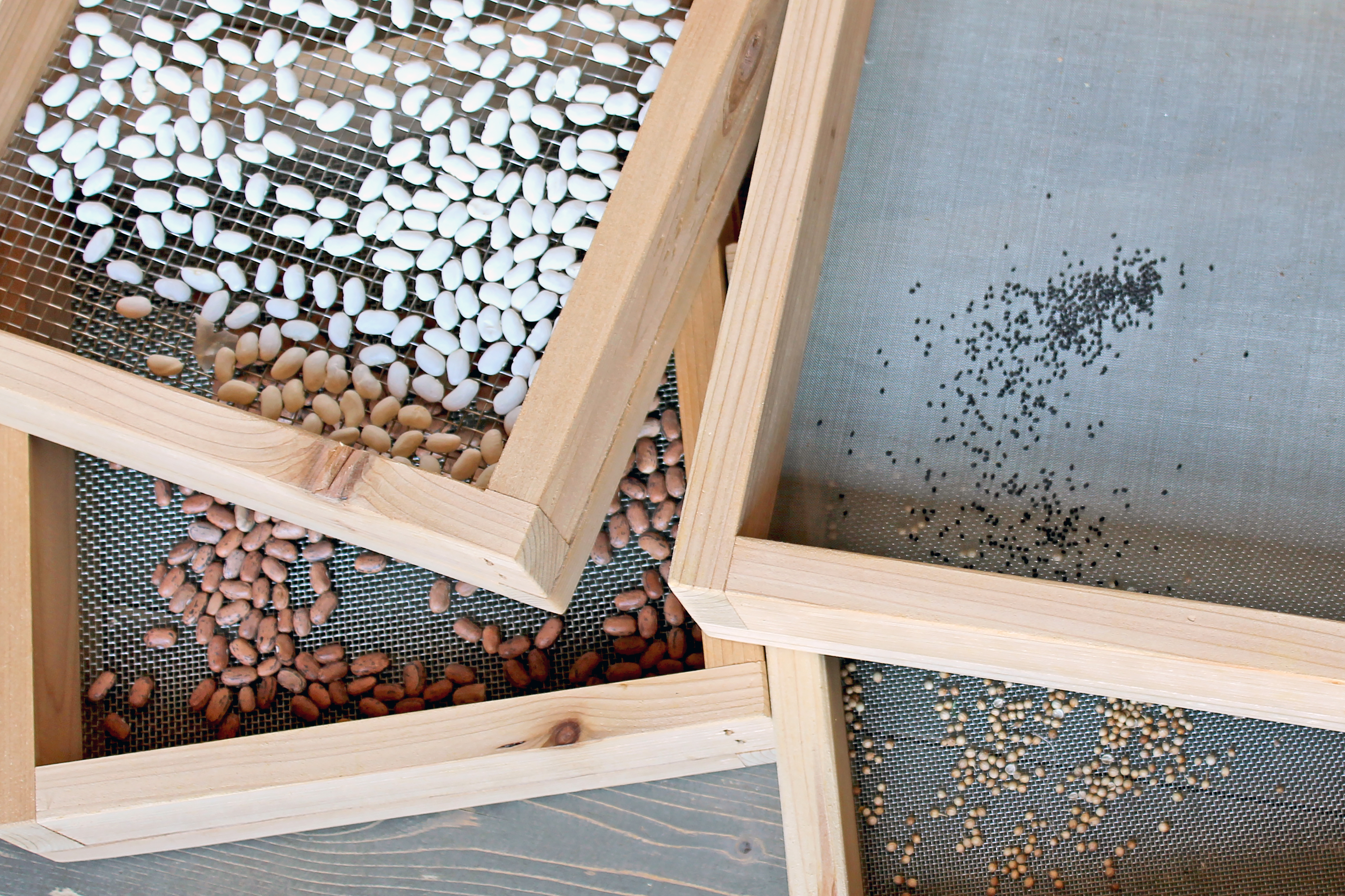 four stacked seed screens holding four different seed varieties