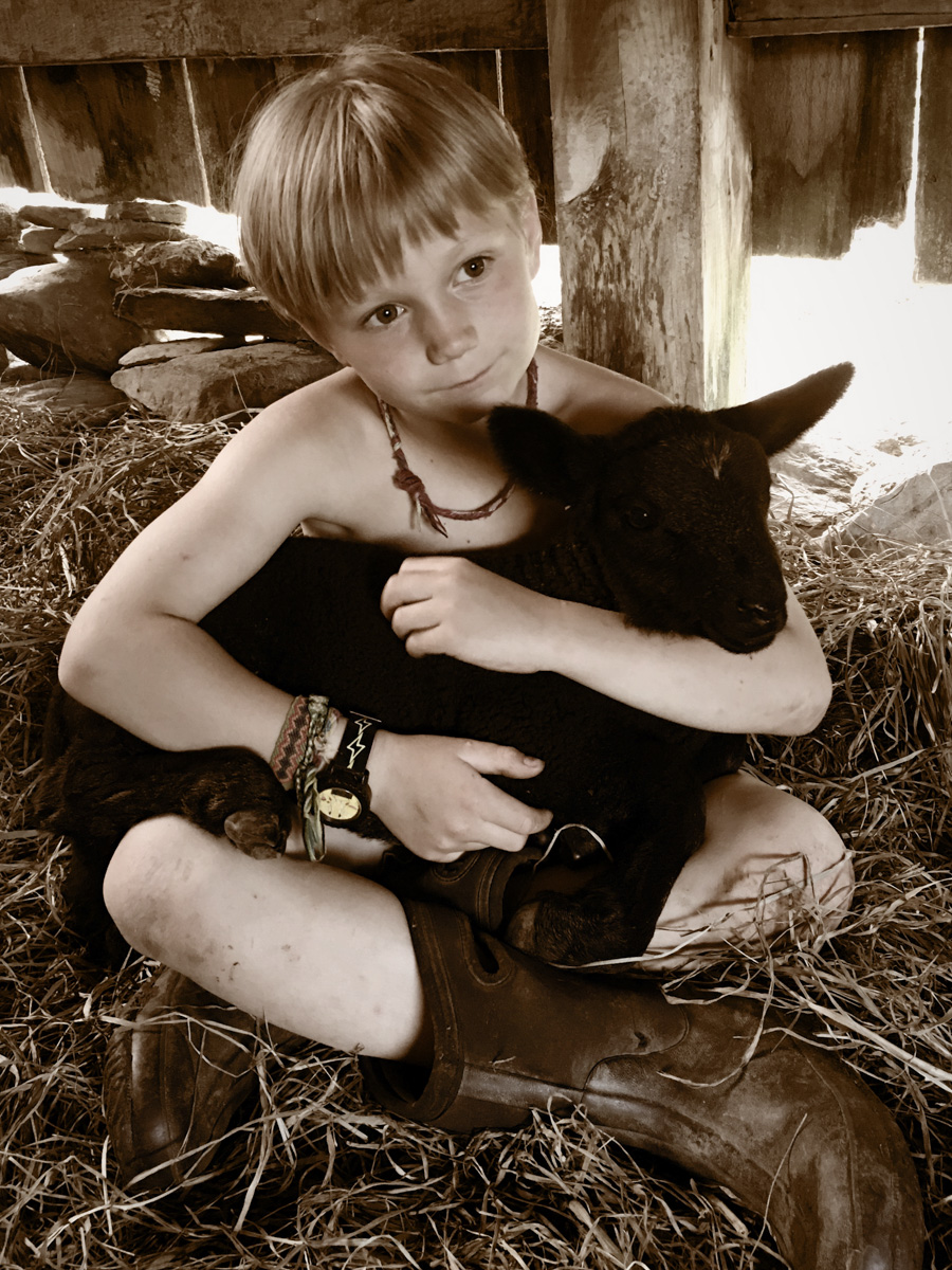 A child hugging a lamb