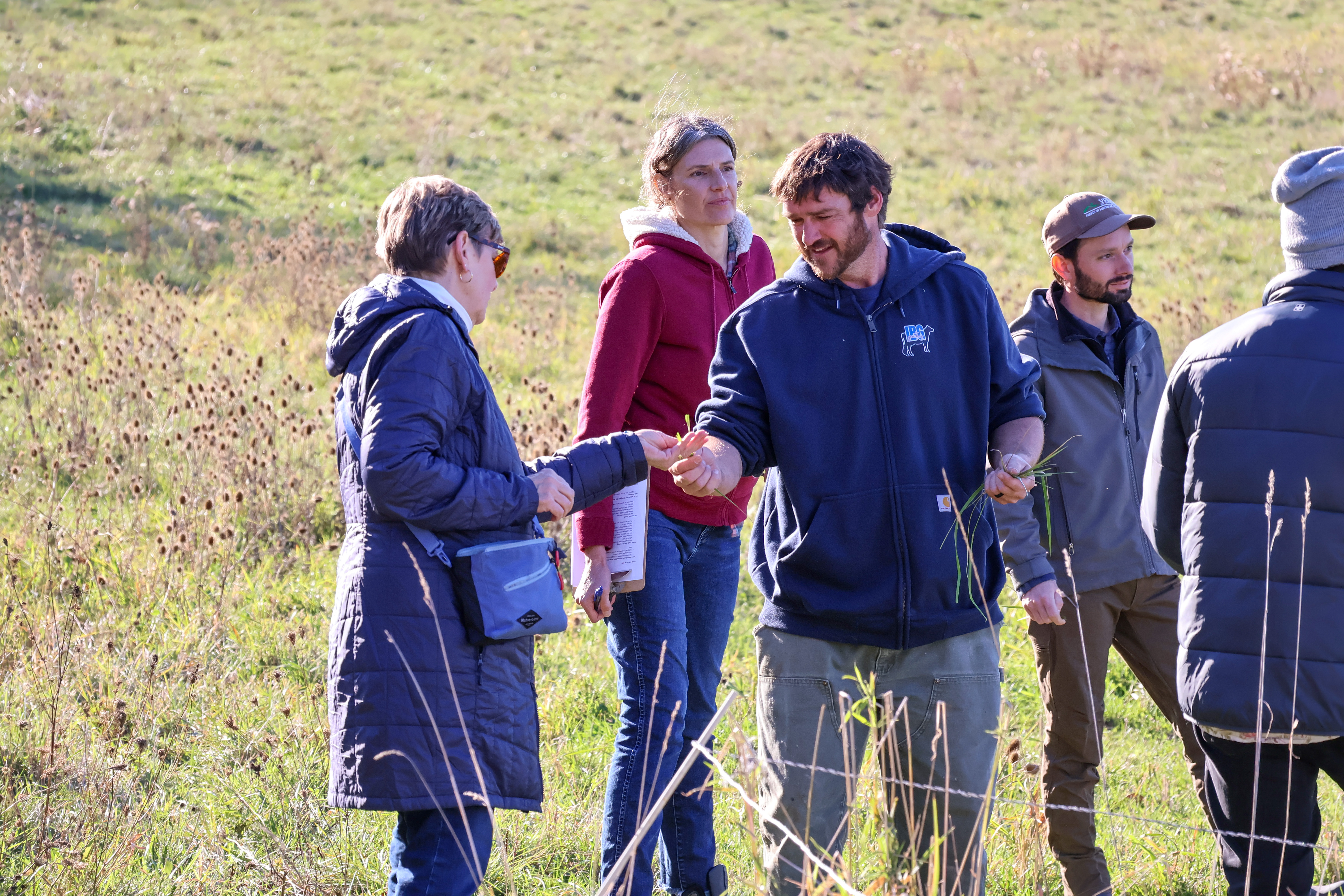 Jesse Wilbur passes a tuft of pasture fodder to Vermont State Representative Robin Scheu during the pasture walk