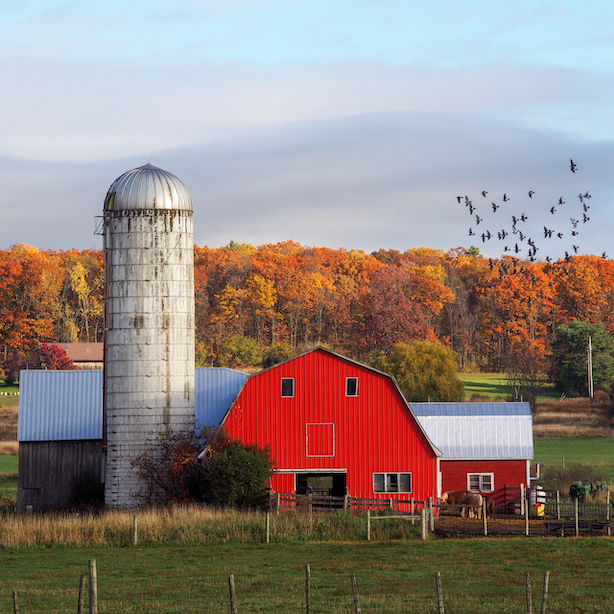 A big red barn and grain silo at Harrison's Homegrown in Addison, Vermont