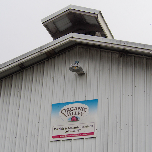 Organic Valley sign on the side of a barn at Harrison's Homegrown