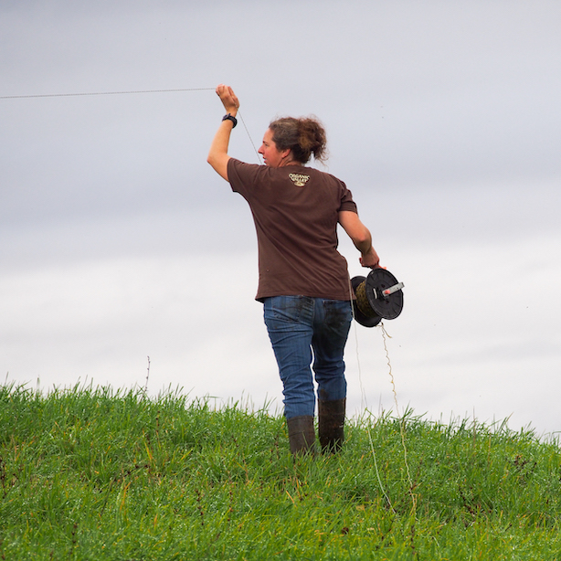 Melanie Harrison running fence line at Harrison's Homegrown in Addison, Vermont