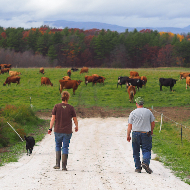 Patrick and Melanie Harrison walking at Harrison's Homegrown