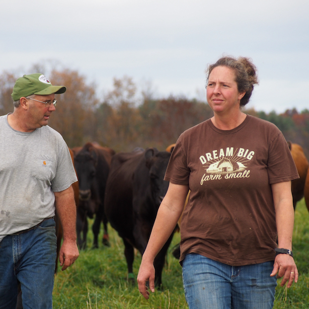 Patrick and Melanie Harrison walk with their herd