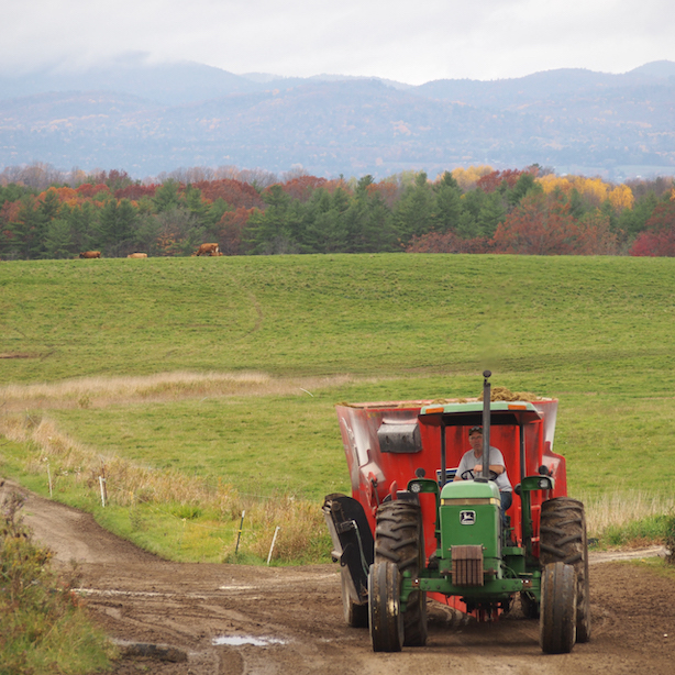 Patrick Harrison running the tractor at Harrison's Homegrown in Addison, Vermont