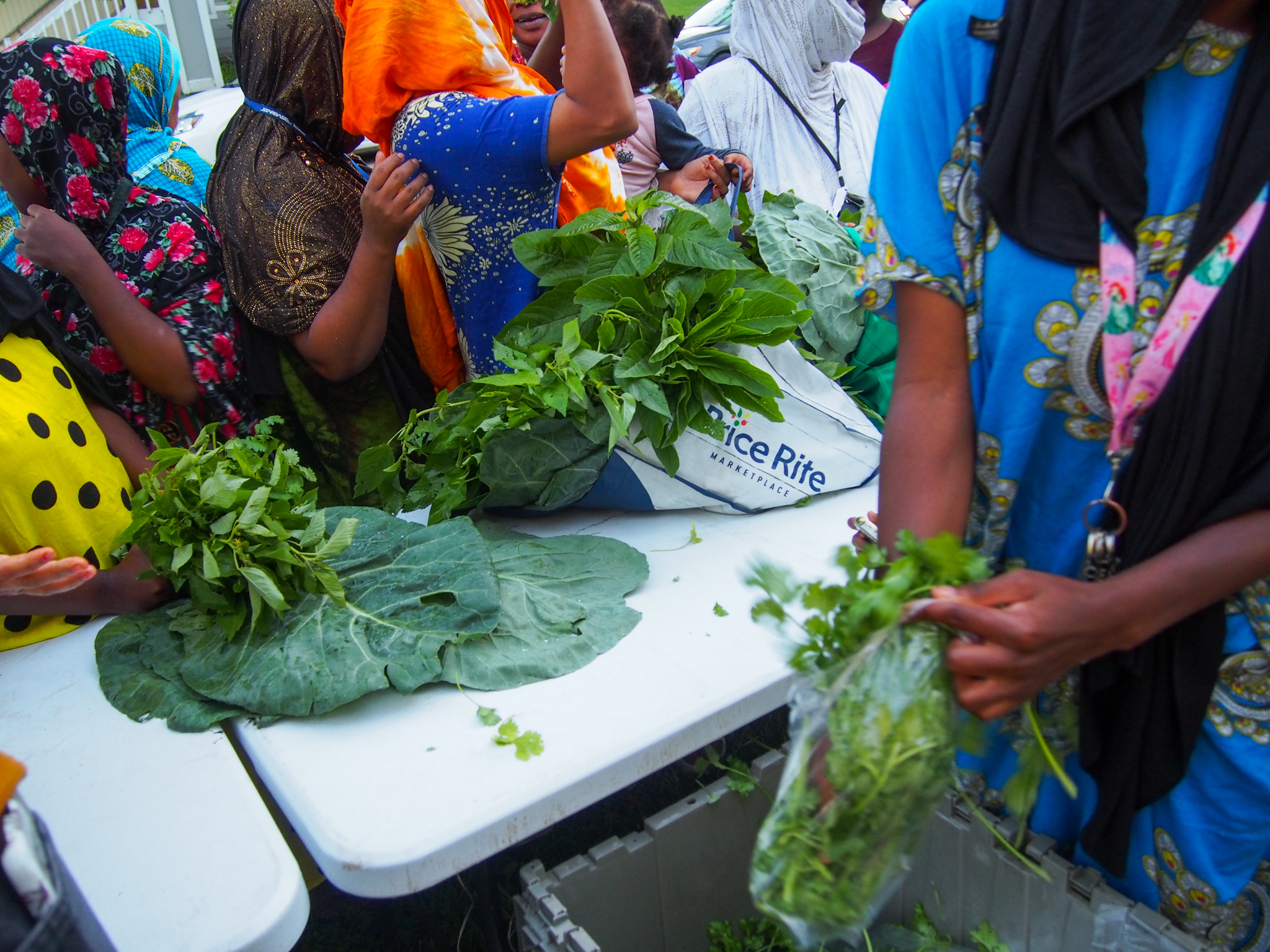 Visitors to the People’s Farmstand pop-up at South Meadows in Burlington’s South End load up bags with cilantro, collard greens (sukuma), and calaloo.