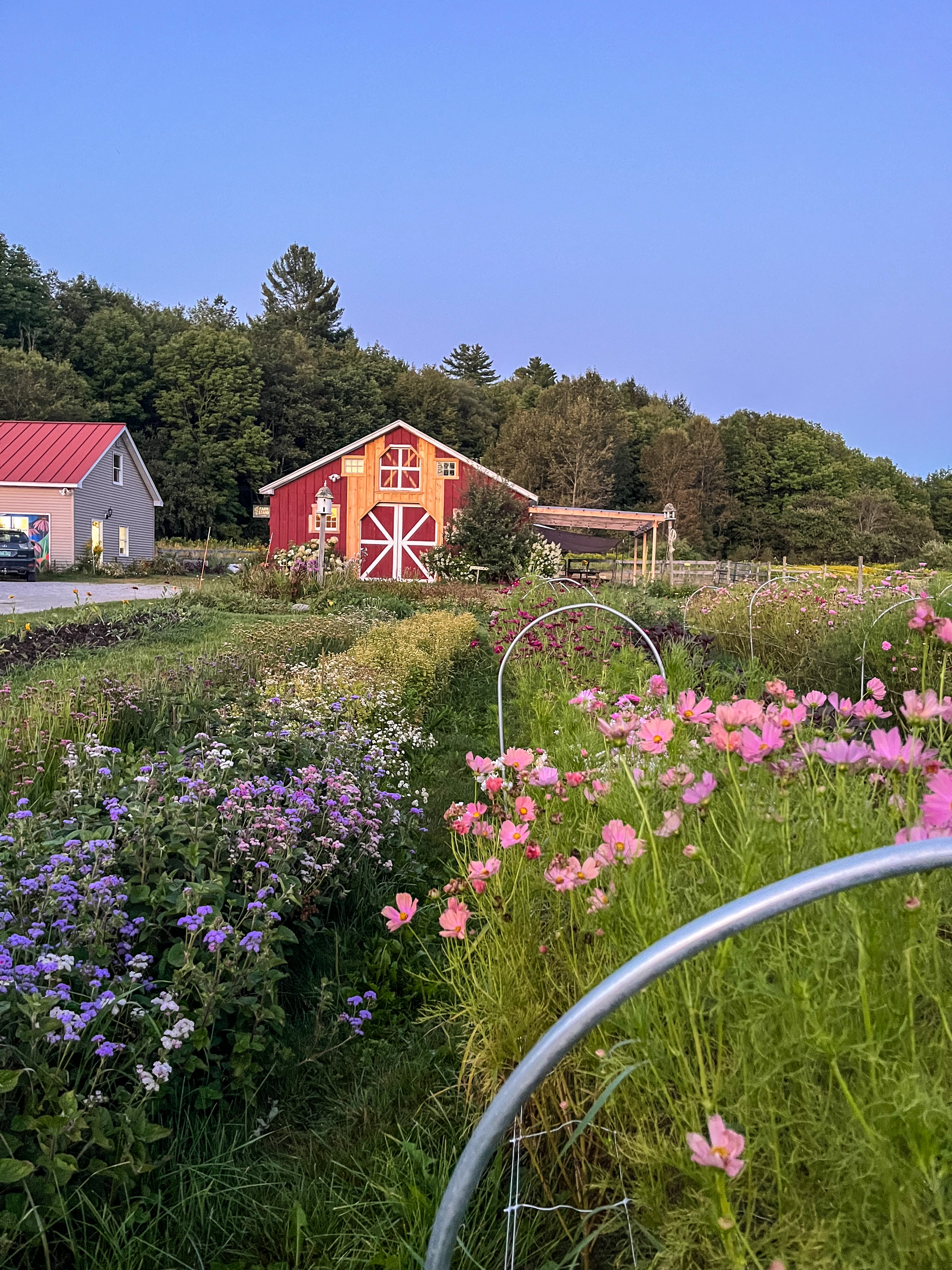 fields of colorful flowers in the foreground with the Stone's Throw barn in the background