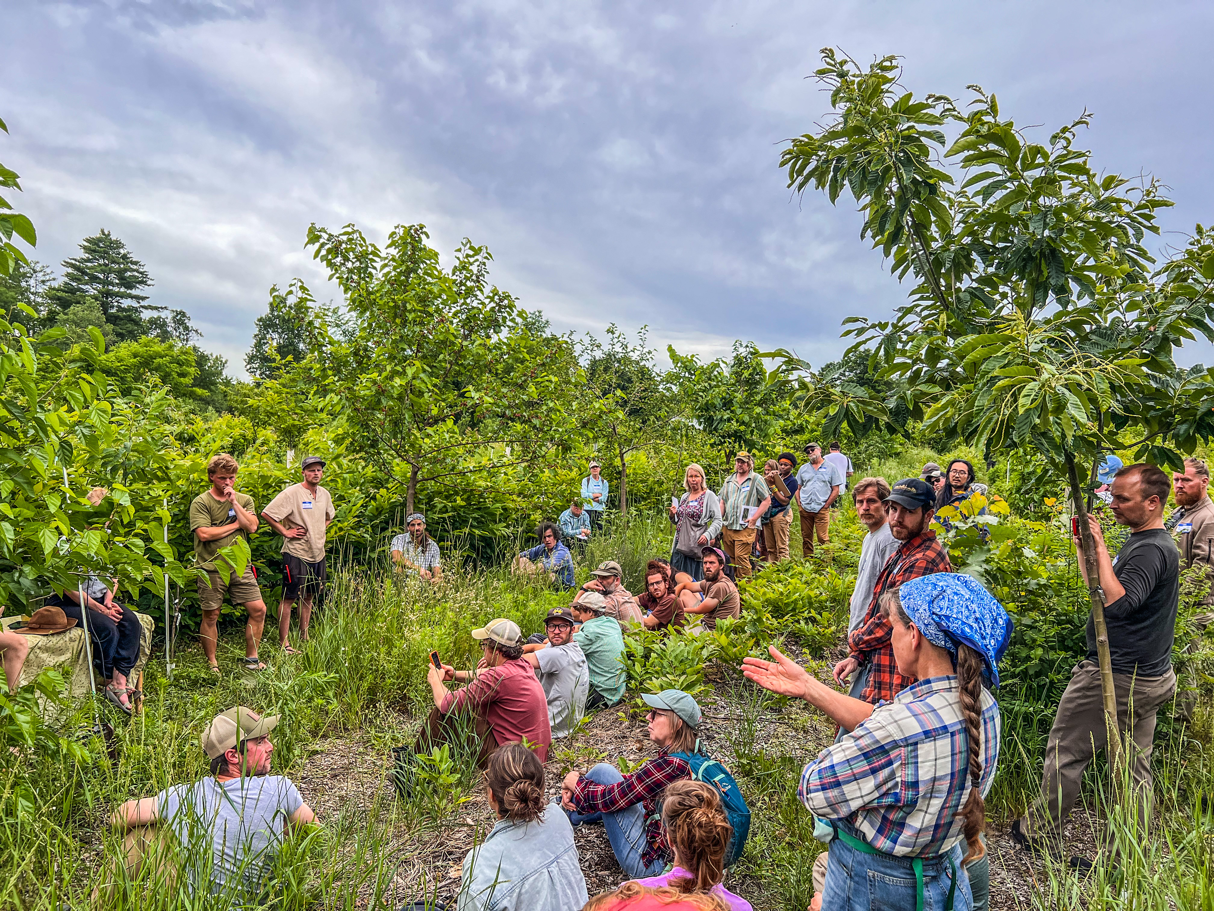 Participants from the regional agroforestry gathering stand together in a nut grove discussing the plantings and methods for stewarding them
