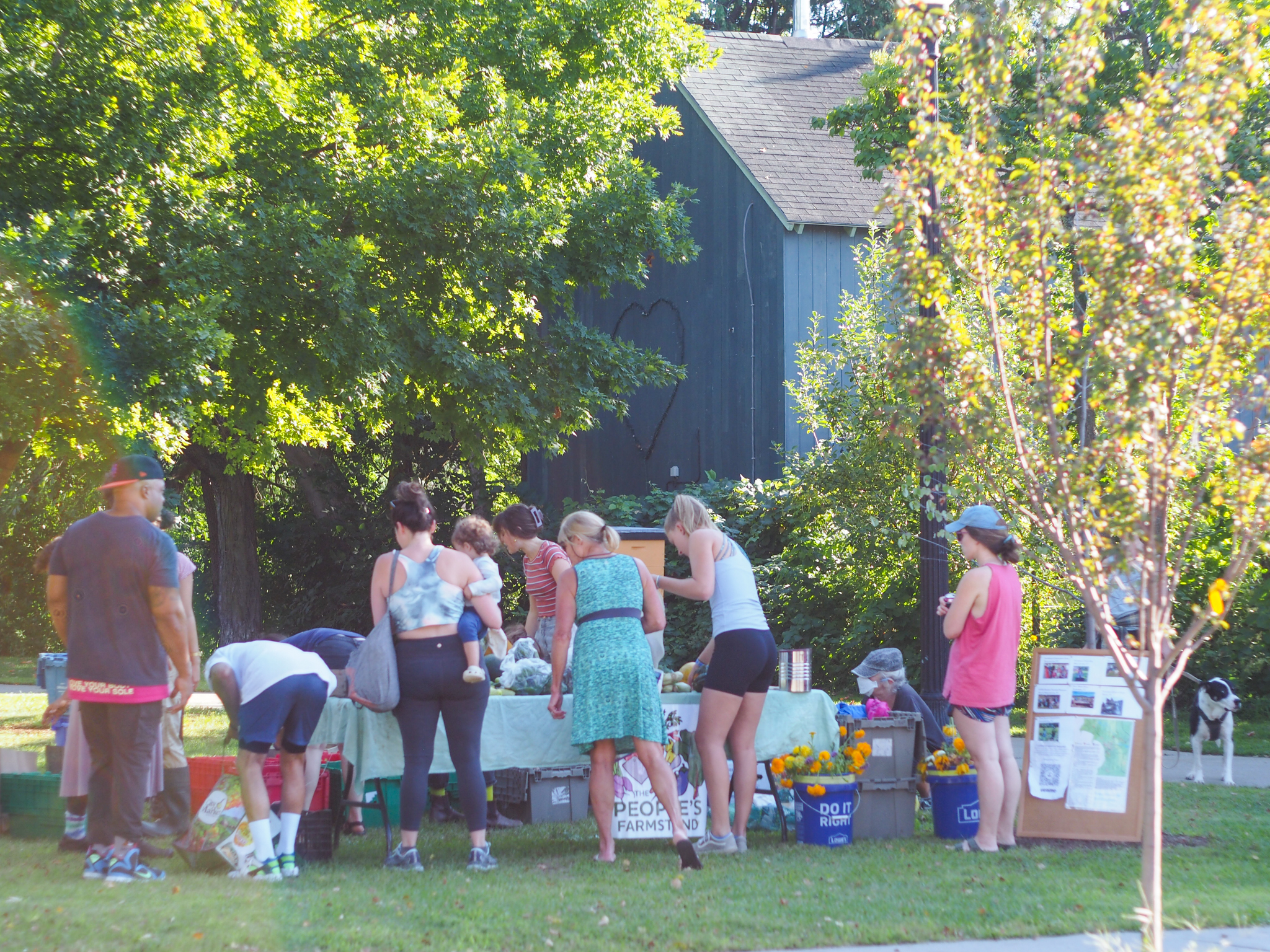 Community members gather around The People's Farmstand in Pomeroy Park in Burlington, VT