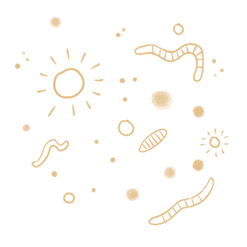 Drawing of microbes