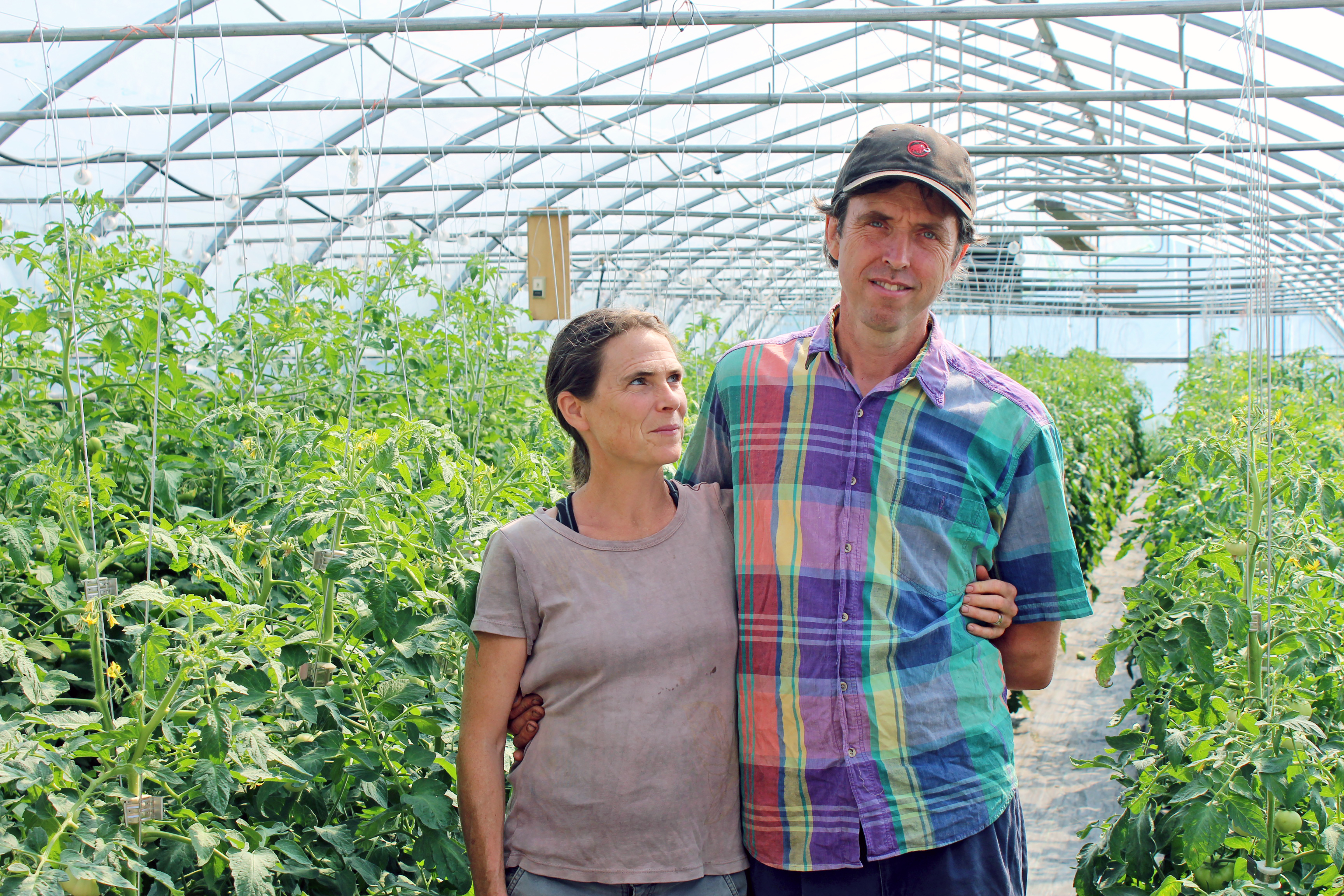 Scott Greene of Singing Cedars Farmstead stands with his partner Becky Maden in their high tunnel filled with lush, green, organic tomato plants