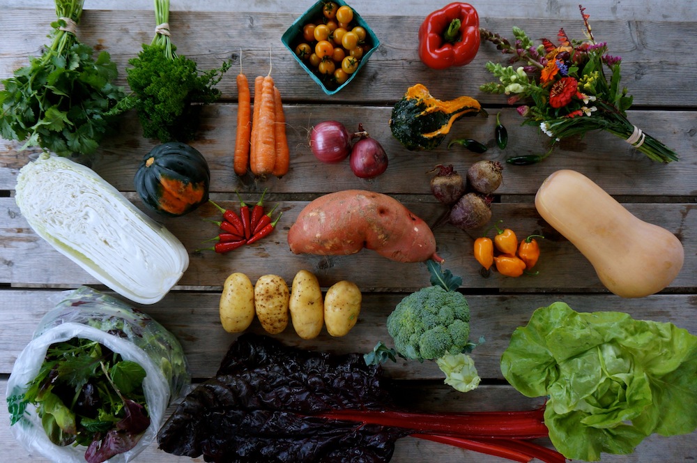 Array of veggies laid out on a table