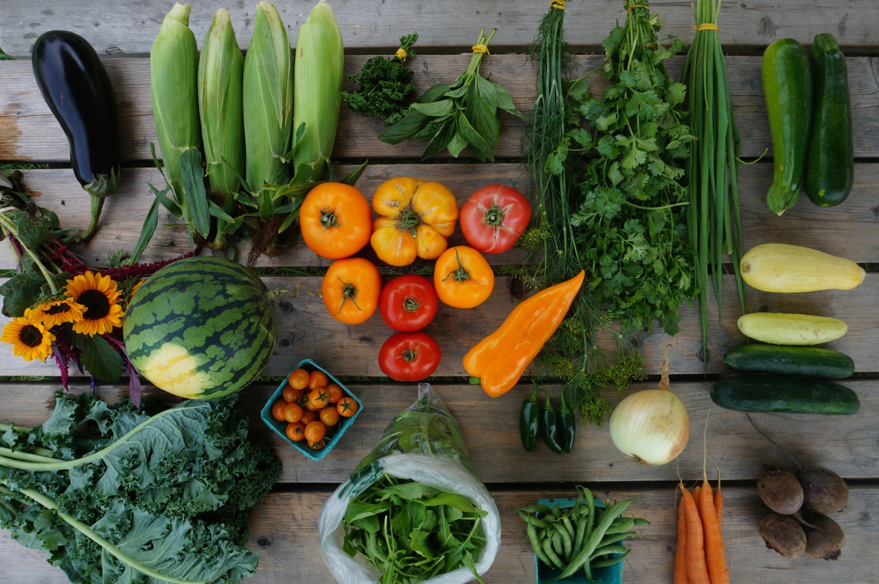 A colorful array of veggies as part of a CSA share is laid out on a picnic table