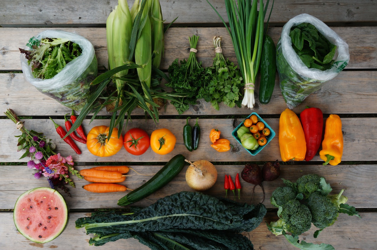 A colorful array of veggies from a CSA share spread out on a wooden table