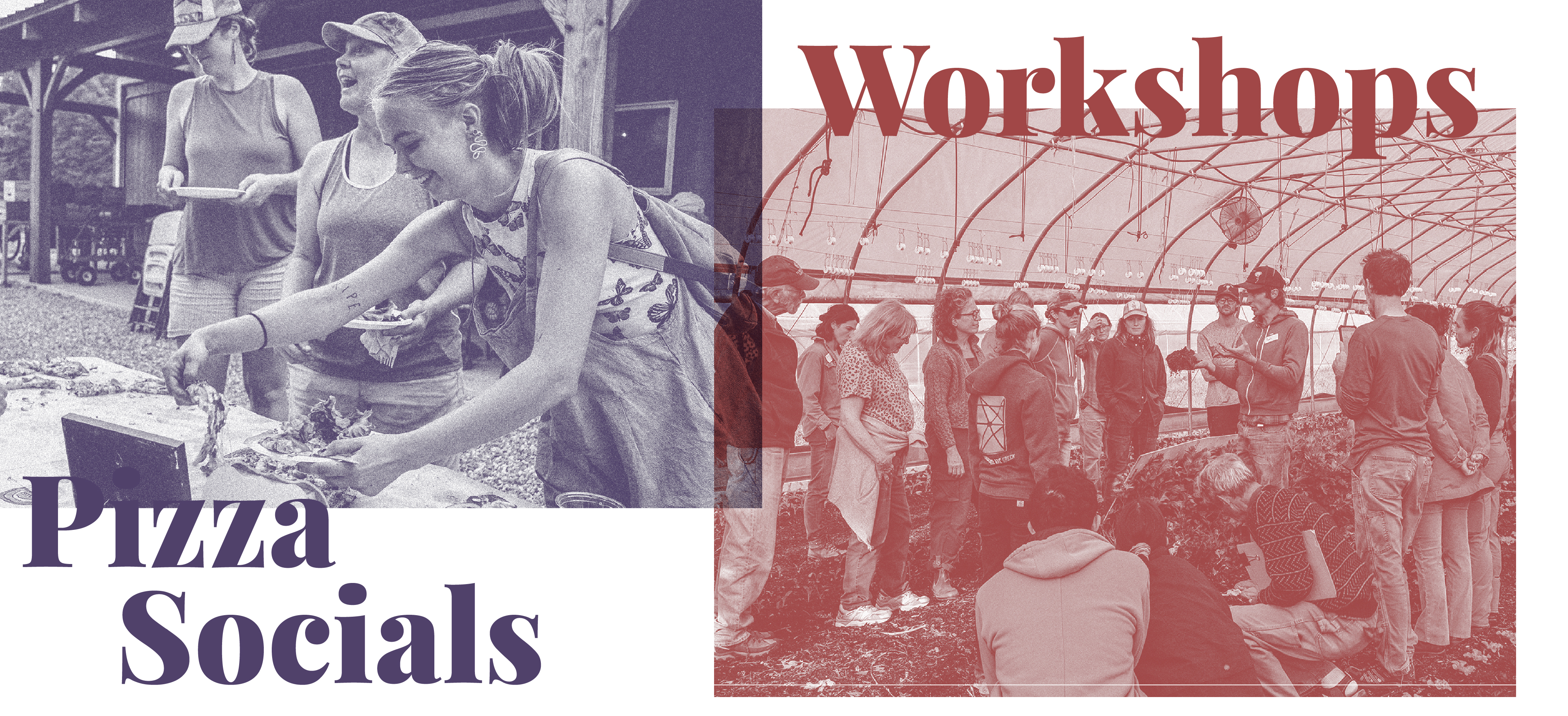A grainy purple image of attendees helping themselves to pizza while smiling at a NOFA-VT Pizza Social and a grainy red image of participants circled around a farmer in a high tunnel during an on-farm workshop. The text reads "Pizza Socials" and "Workshops"