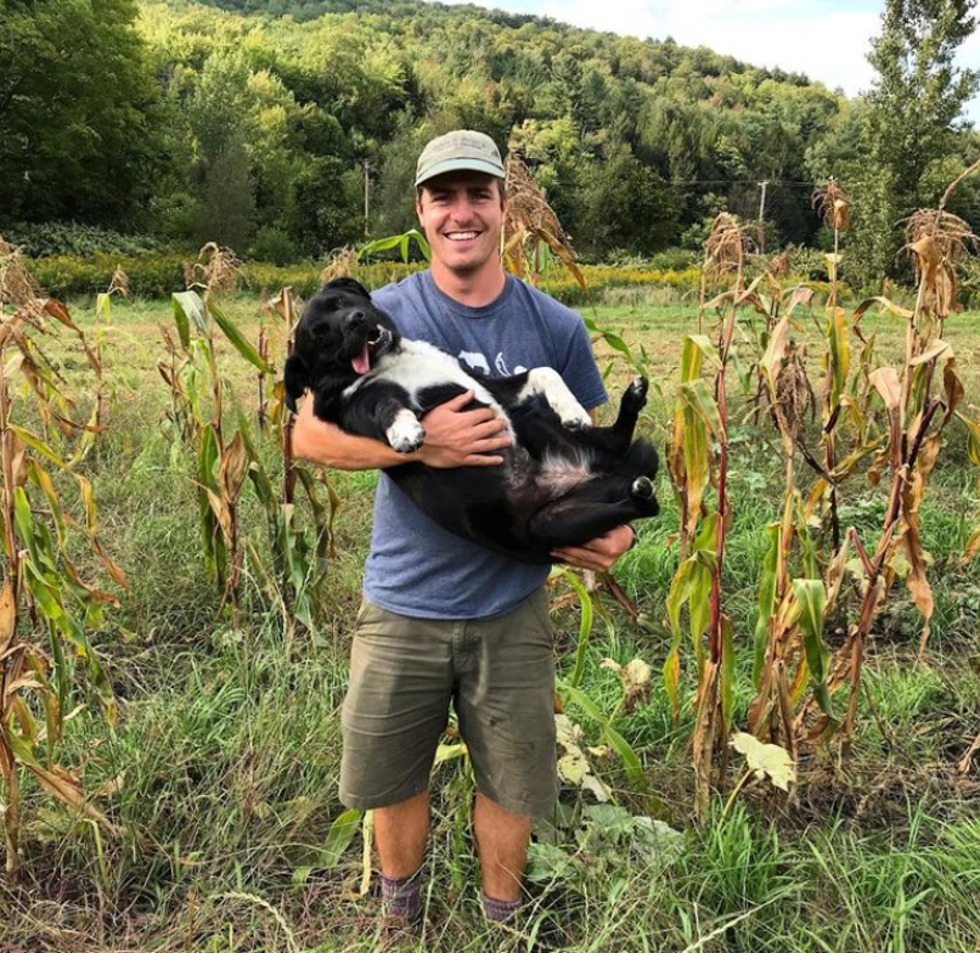 Jake a hold a dog in a field