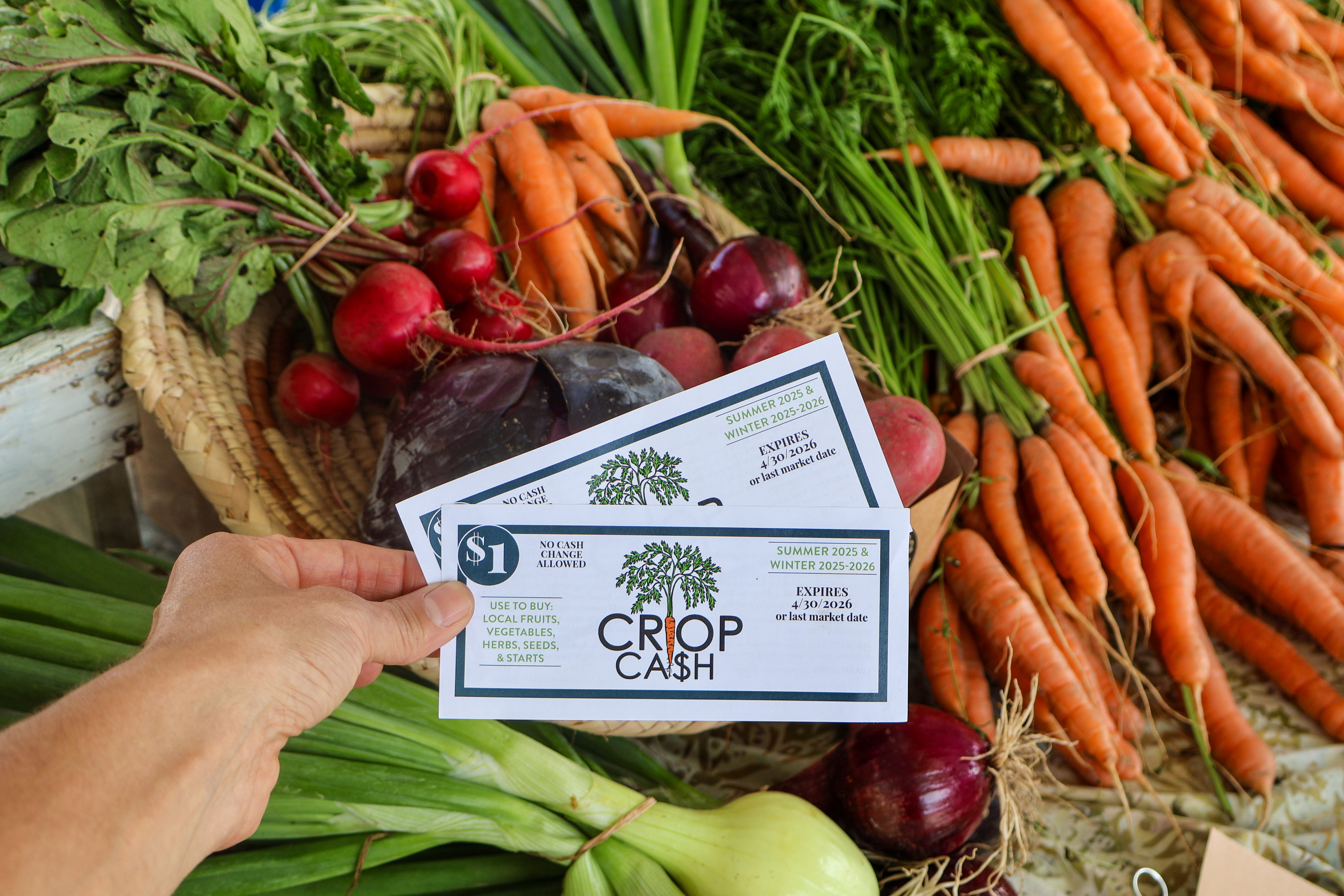 A farmers market shopper holds two crop cash coupons out above a table of fresh local vegetables
