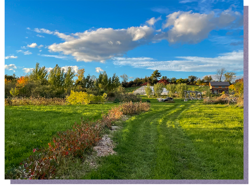 Farm fields with riparian buffers