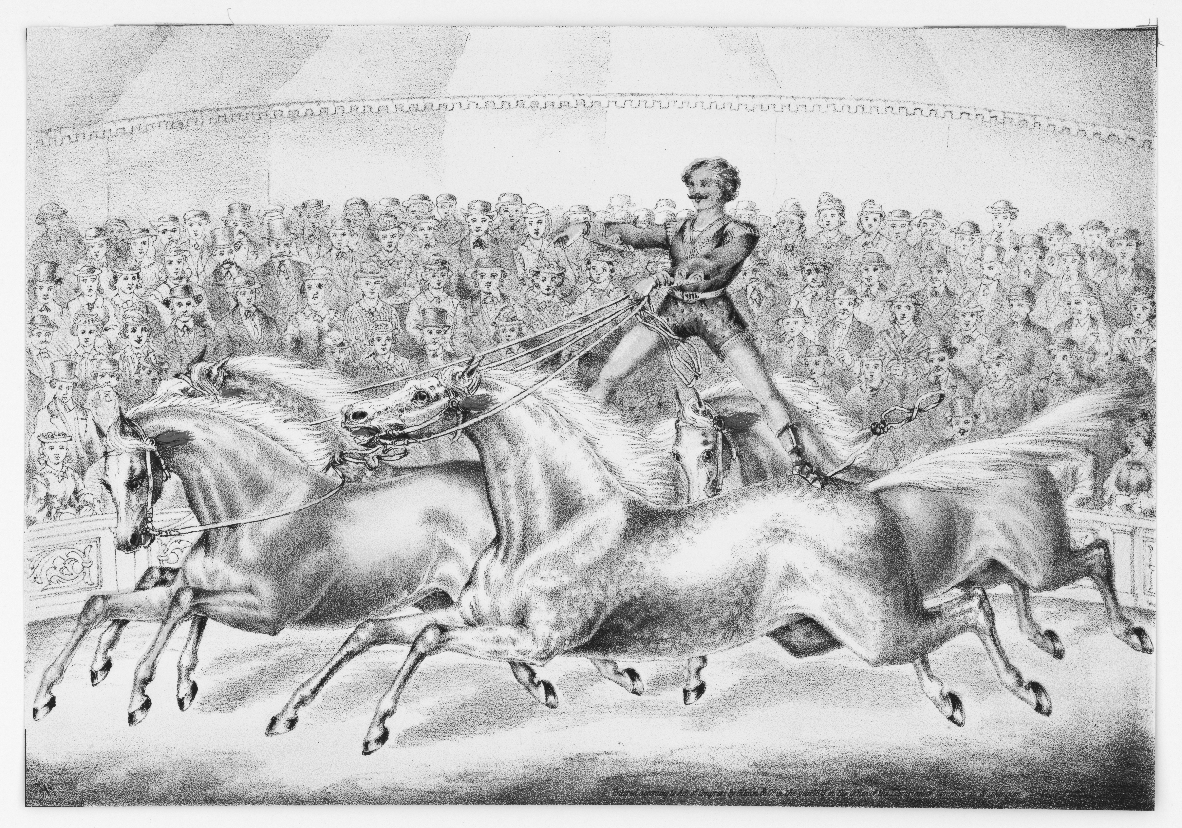 A black and white sketch of a performer riding multiple horses as a crowd within a circus tent watches