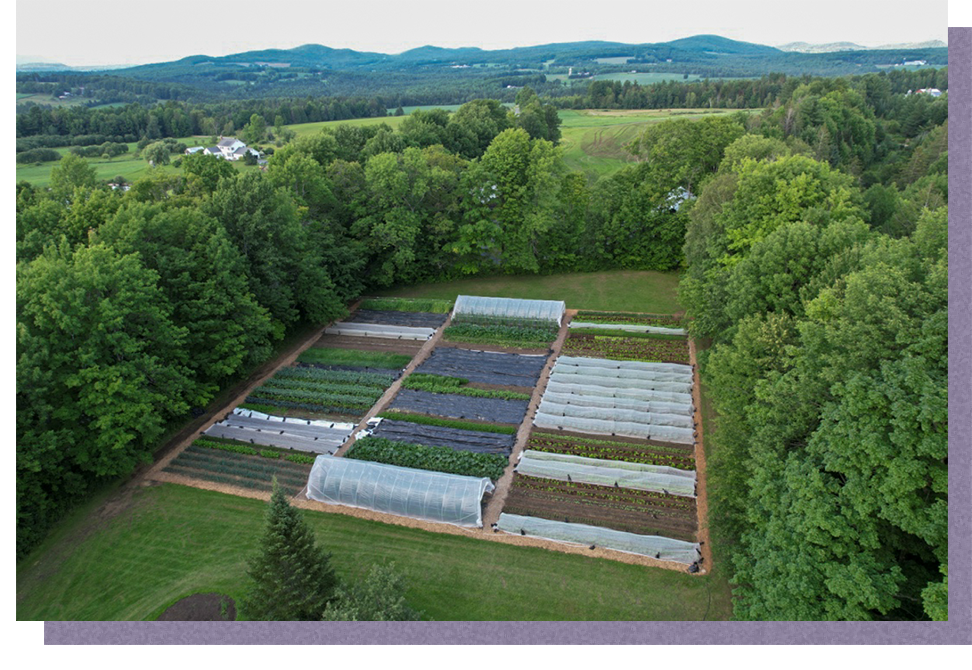 Farm fields from an aerial view