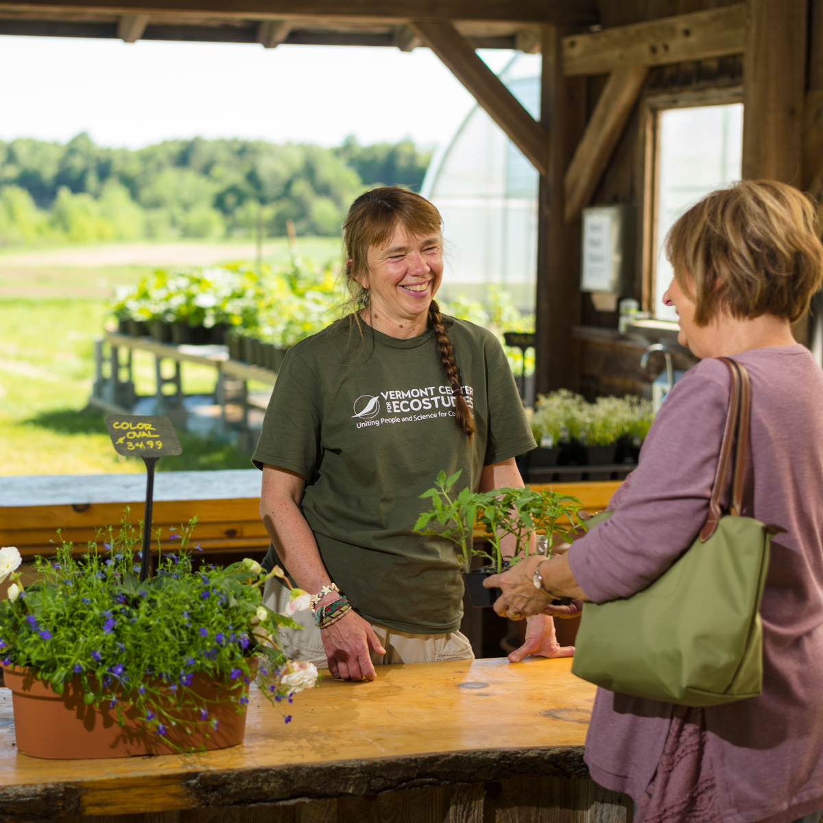 A farmer selling seedlings to a customer