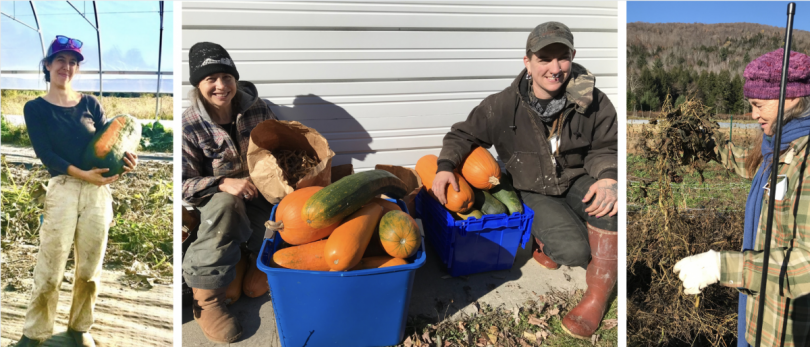 Project growers: Caitlin from Gildrien Farm in Leicester, Jude and Mo from Milkweed Farm in Cabot, Peggy from Newfield Herb Farm in Craftsbury Common.