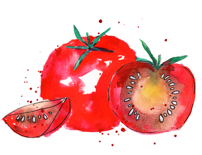 watercolor of tomatoes
