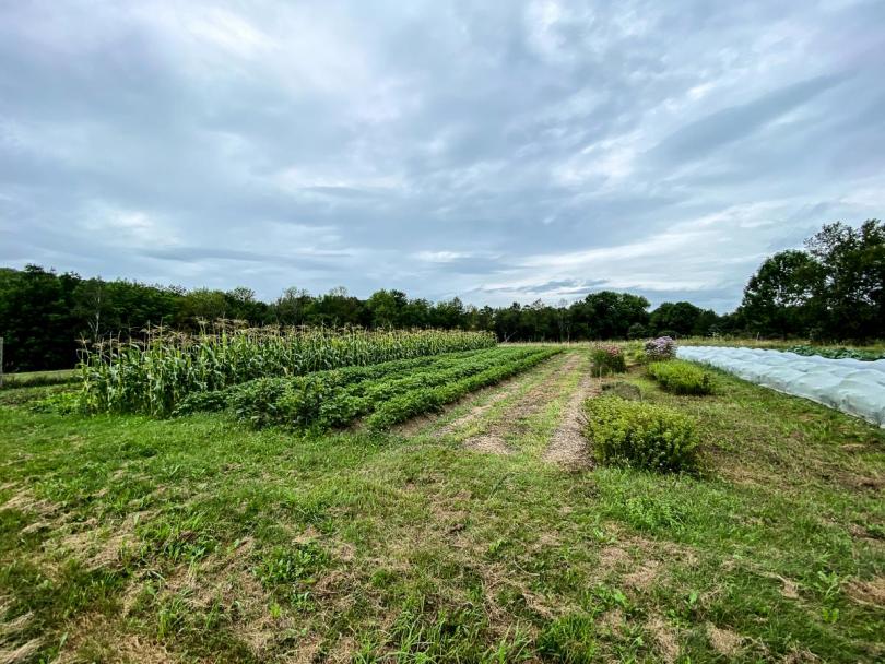 John and Joy's farm