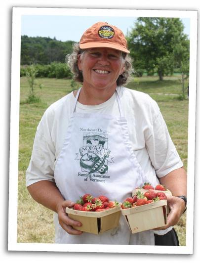 enid strawberries