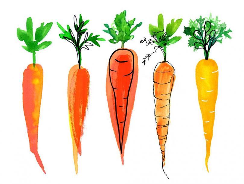 illustration